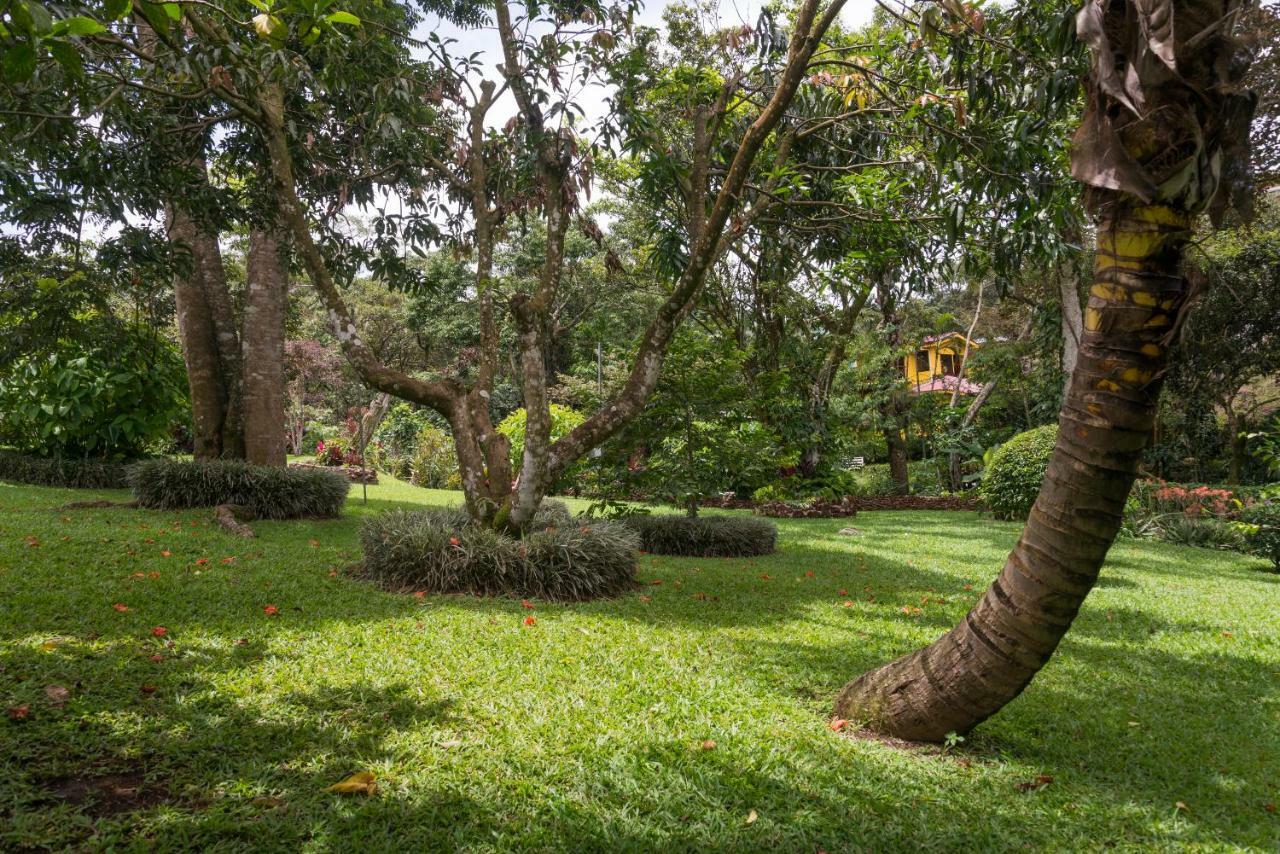 La Terraza Guest House B&B เกรเซีย ภายนอก รูปภาพ