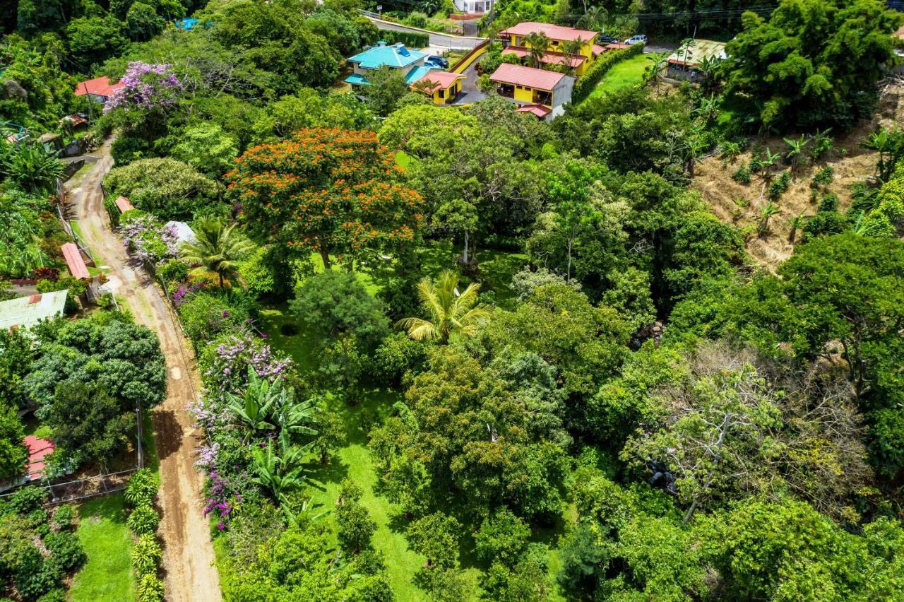 La Terraza Guest House B&B เกรเซีย ภายนอก รูปภาพ