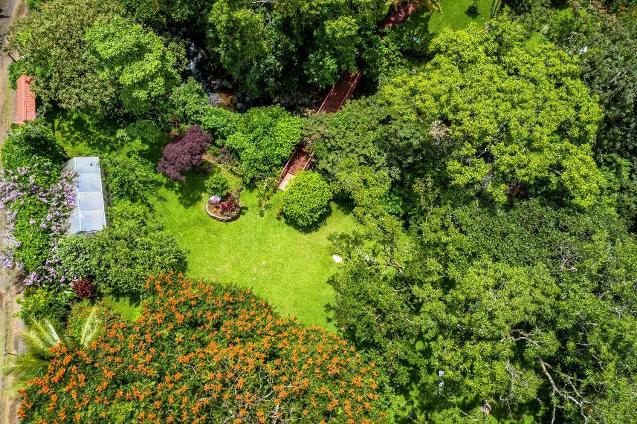 La Terraza Guest House B&B เกรเซีย ภายนอก รูปภาพ