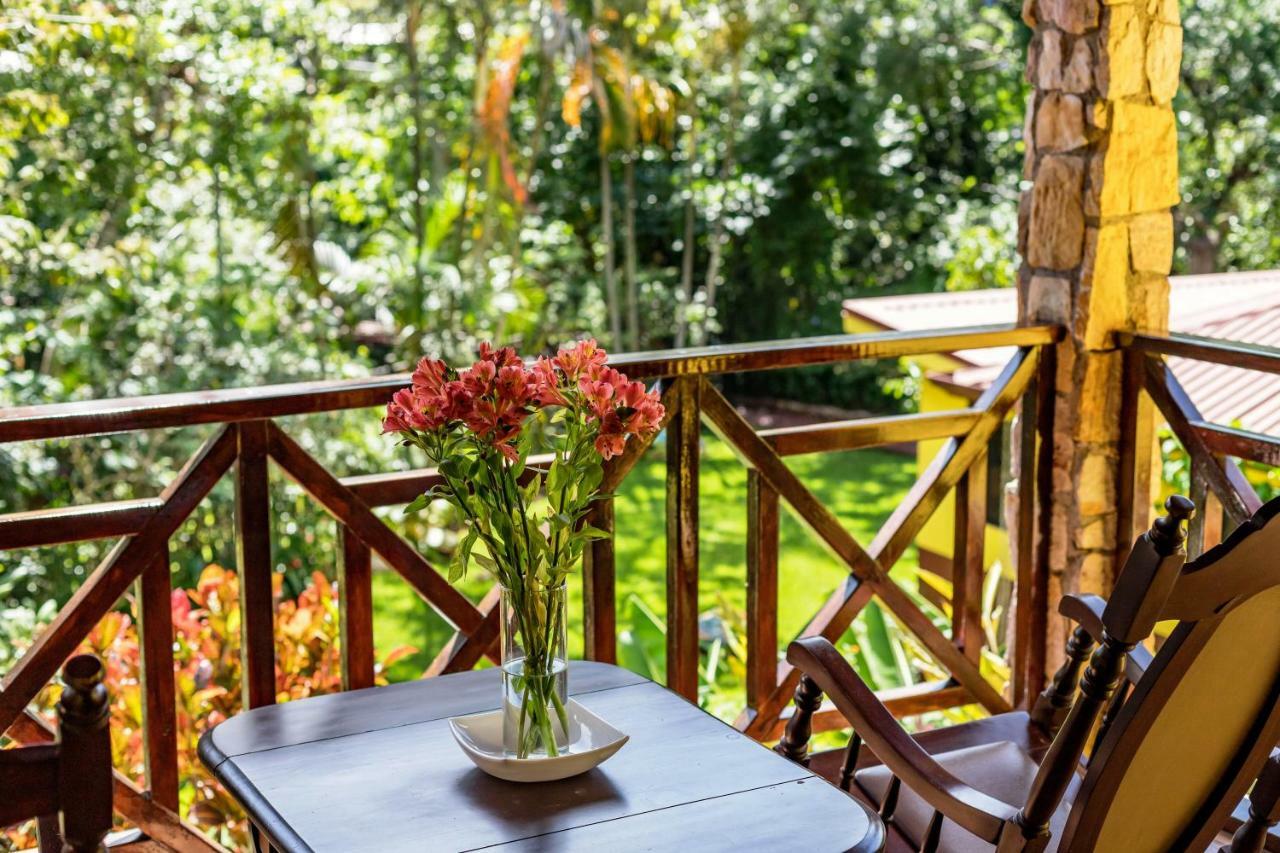 La Terraza Guest House B&B เกรเซีย ภายนอก รูปภาพ