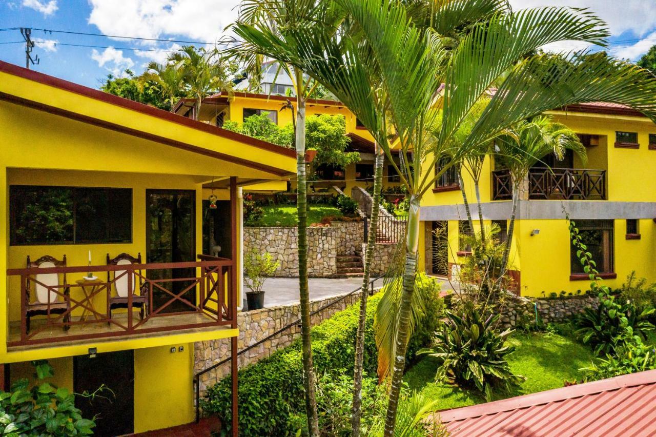 La Terraza Guest House B&B เกรเซีย ภายนอก รูปภาพ