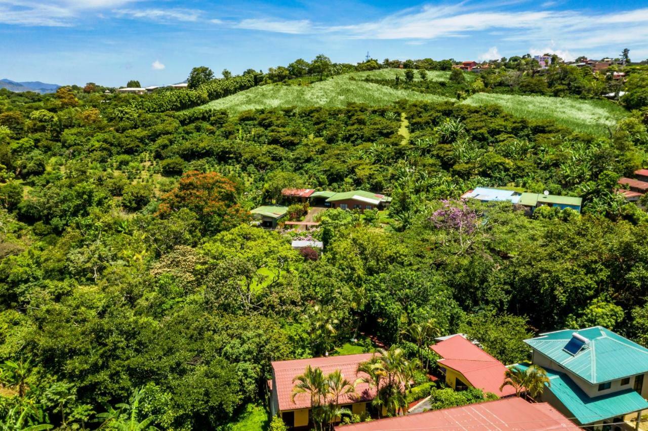 La Terraza Guest House B&B เกรเซีย ภายนอก รูปภาพ