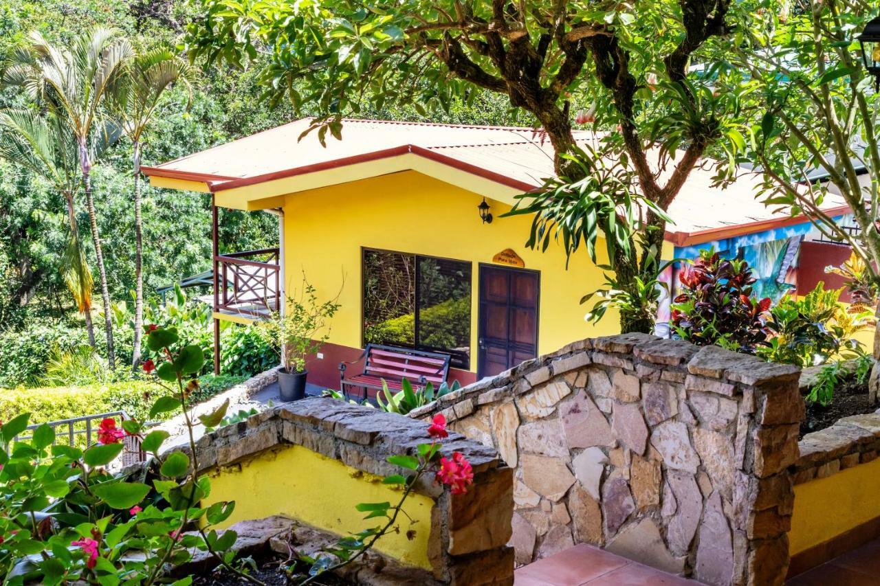 La Terraza Guest House B&B เกรเซีย ภายนอก รูปภาพ