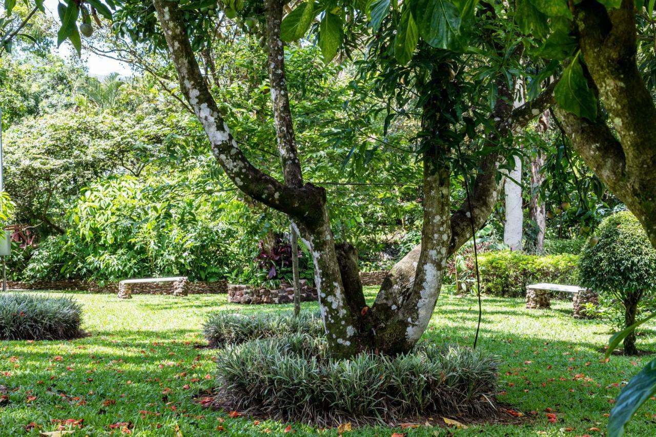 La Terraza Guest House B&B เกรเซีย ภายนอก รูปภาพ