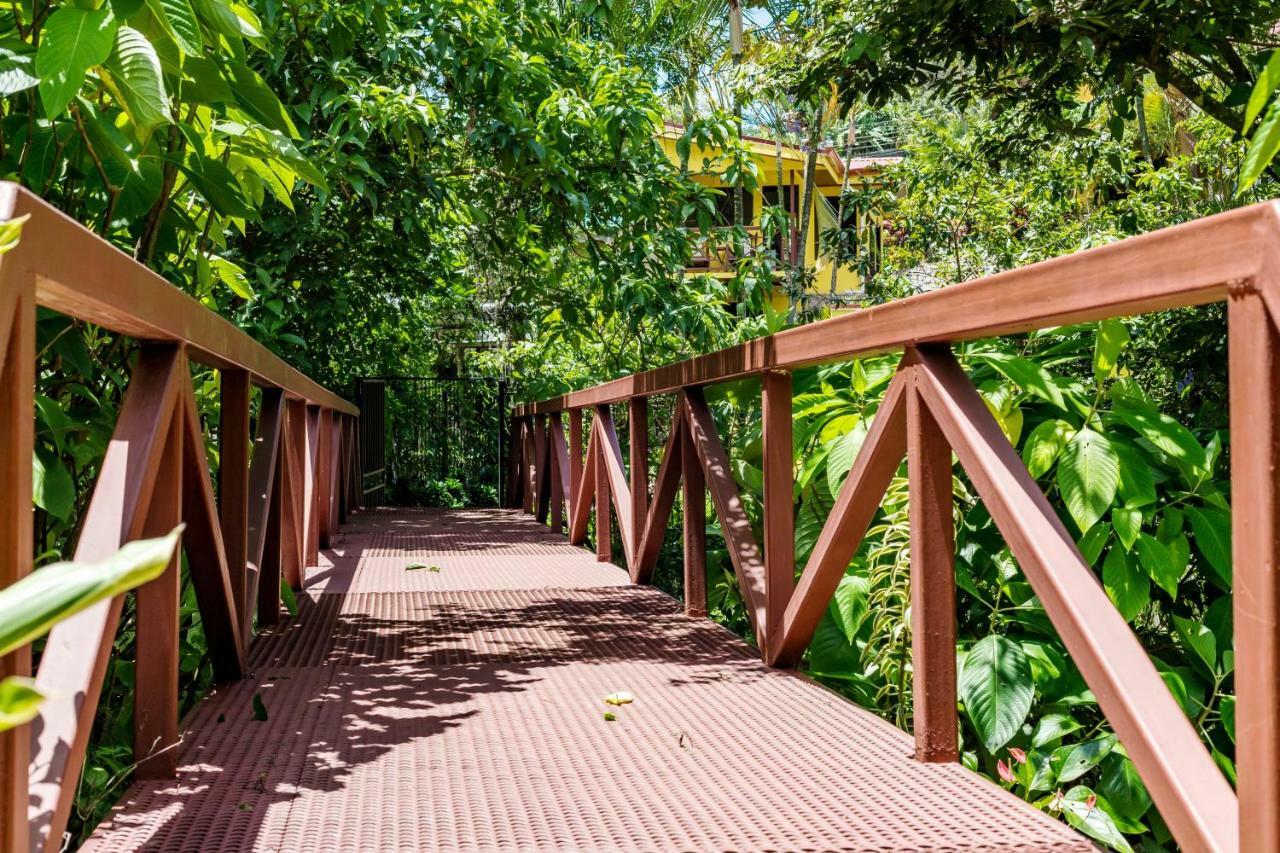 La Terraza Guest House B&B เกรเซีย ภายนอก รูปภาพ